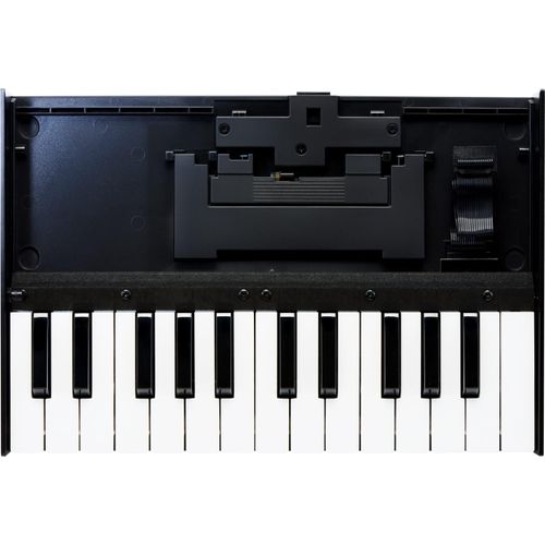 Roland K-25M, 25 Schlüssel, 308 mm, 209 mm, 44 mm, 700 g