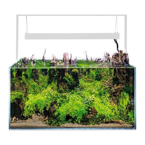 Aquarium AQUAEL UltraScape 90 mit LED Beleuchtung ca. 243 l OPTI-Glas, Weißglas, ohne Unterschrank snow