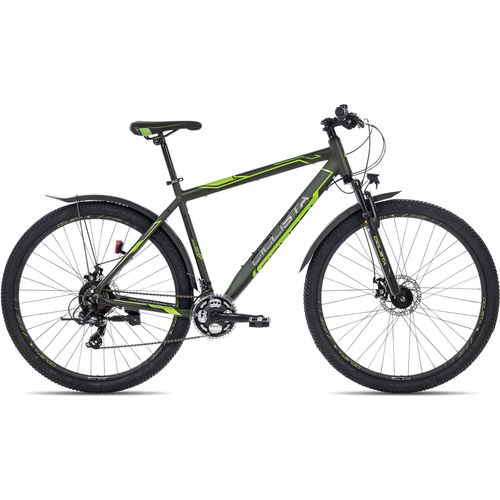 Ciclista Adventure 29 Disc All-Terrain-Bike ab 14 Jahren 29 Zoll Grün 43 cm