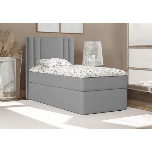 Bett , Boxspringbett , Continentalbett RALI MINI mit Bonell Matratze und Topper , Einzelbett mit Container , H3 ( 80x200 cm , Dunkelgrau - Itaka 14 , Topper T25 )