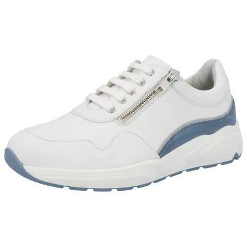 Sneaker Solidus 66007 10084, 66007 10084, 66007 10084, 66007 10084, 66007 10084, 66007 10084, 66007 10084, 66007 10084, 66007 10084, 66007 10084, 66007 10084, 66007 10084