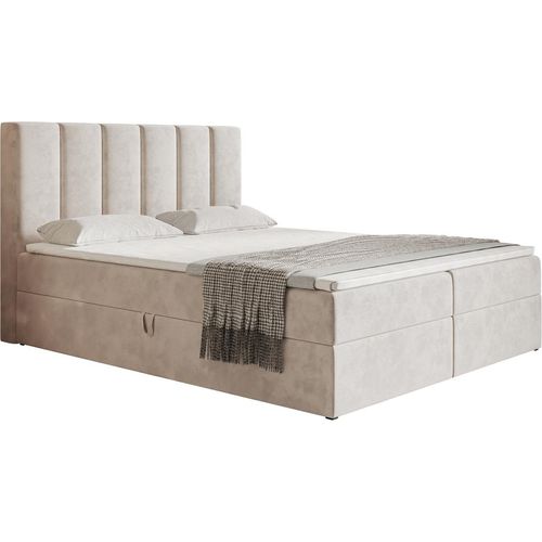 Boxspringbett 180x200 cm Foro - Doppelbett mit Lattenrost & Topper, Bettkasten - Bonell-Matratze, Samtstoff (Creme - Amor Velvet 4304)