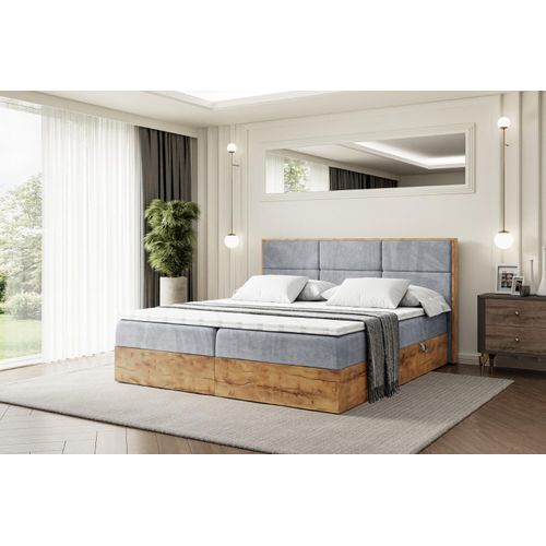 ALTDECOR Boxspringbett LOLLI1 mit H4-Matratze, Kopfteil und Bettkasten mit Eiche Holz 160x200 Grau Samt
