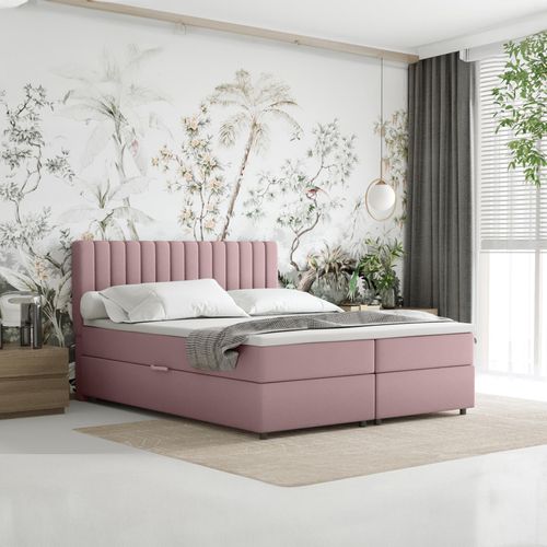 Boxspringbett 160x200 EVEREST, mit Topper, mit Bettkästen, Doppelbett, Rosa, Panda Möbel
