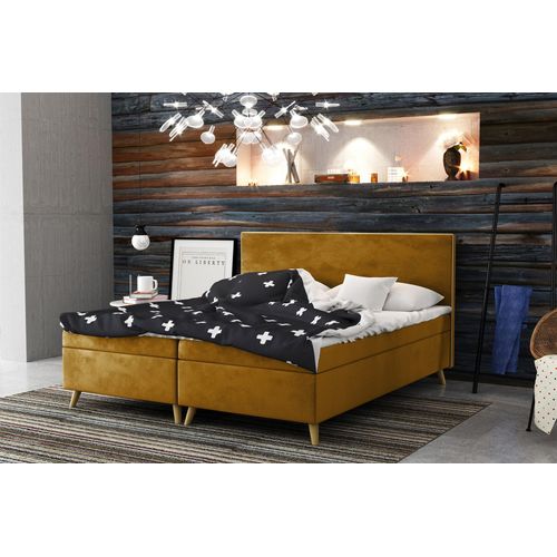 Boxspringbett Schlafzimmerbett Sileno 140x220cm in Stoff Riviera Goldgelb