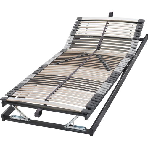 Badenia Federholzrahmen Trio 44 KFG- Bettkastenfunktion mittels Gasfeder, 7 Zonen Lattenrost 80x210 cm