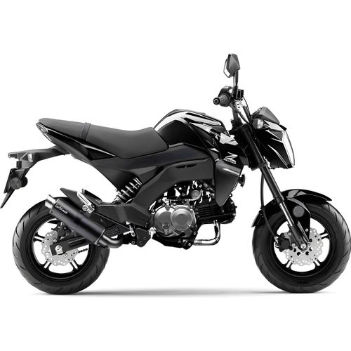 Auspuffanlage LeoVince Komplettanlage GP CORSA MATTE RACING Carbon & DB-Killer für Kawasaki Z 125 PRO