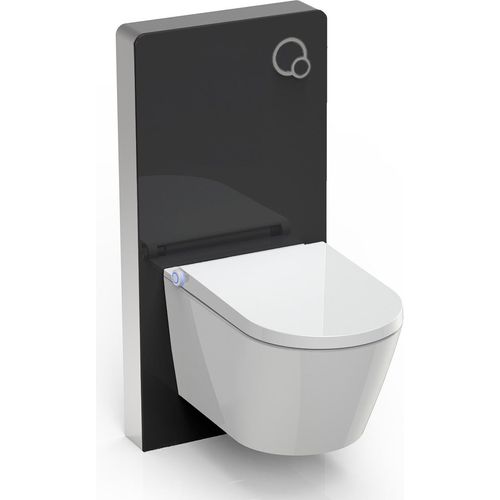 BERNSTEIN WC-Sparpaket 7: Dusch-WC Basic 1102 mit Gesäß- und Ladydusche & Sanitärmodul 805 in Schwarz