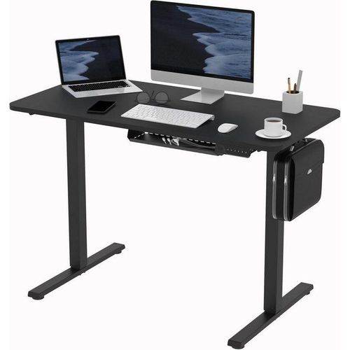 FLEXISPOT Schreibtisch Basic Plus Elektrisch Höhenverstellbarer Schreibtisch(E150), Basic Plus Elektrisch Höhenverstellbarer Schreibtisch, 2-Fach-Teleskop(Schwarz)