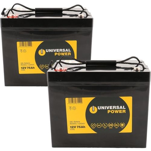 Ersatzakku für Chauffeur Mobility Viva Power 645 Rollstuhl 24V 2 x 12V 75Ah