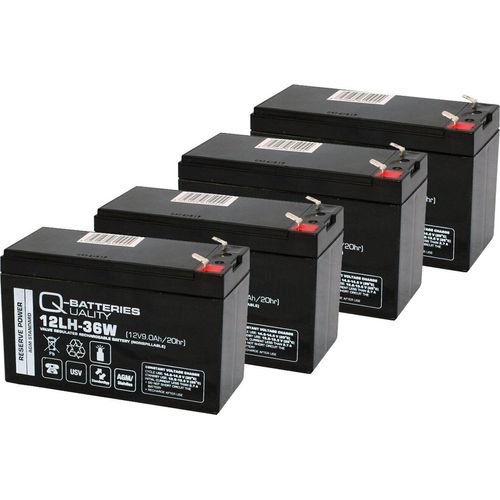 Ersatzakku für RBC8, RBC23, RBC24, RBC25, RBC31, RBC57, RBC59 (4 Akkus)