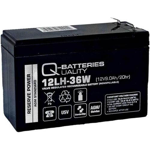 Ersatzakku SYBT9-B4 für USV-Anlage von APC SY48K48H-PD 12V 9Ah