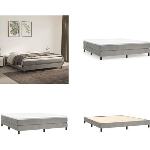 vidaXL Boxspringbett Hellgrau 160x200 cm Samt - Boxspringbett - Boxspringbetten - Bett - Schlafzimmermöbel