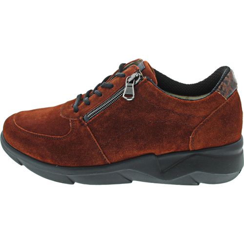 Waldläufer K-Funky 668002-209-015 (3.5/rum cognac)