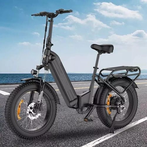 20 Zoll Elektrofahrrad 48V 25AH eBike 250W E Mountainbike 25km/h EBike MTB Fat Tire E-Fahrrad klapprad, Off-Road Mountainbike mit Shimano 7 Gängen