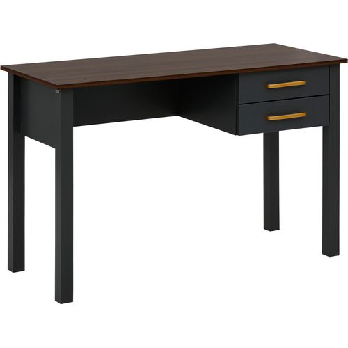 Schreibtisch >Møyfrid< in Grau, MDF - 120x77x50cm (BxHxT)