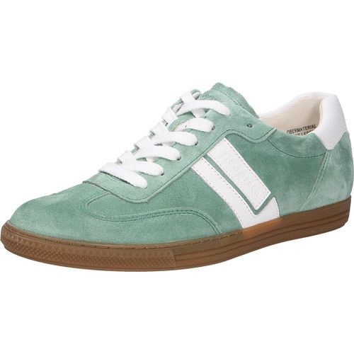 Paul Green Damen Sneaker, grün(wasabi), Gr. 5