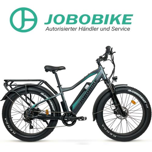 E-BIKE JOBOBIKE ELEKTROFAHRRAD ROBIN PLUS 26 x 4 ZOLL HYDRAULISCHE BREMSEN GRAU