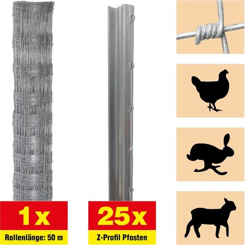 Weidezaun 50 m Set Taurus leicht - Höhe: 200 cm, inkl. 25 Z-Pfosten, Horizontaldrähte: 20