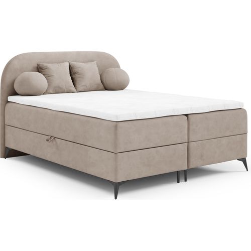 Boxspringbett 180x200 JASMINE von ANTONIO mit Bettkästen und Topperr, Doppelbett mit Bonell Federkernmatratze, Härtegrad H4 Samtbezug in Dunkelbeige