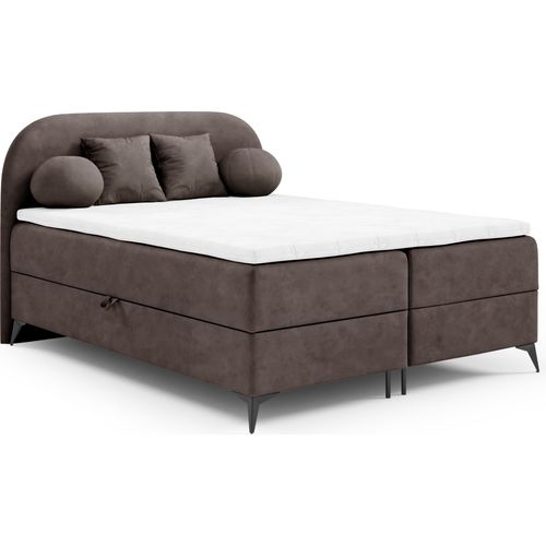 Boxspringbett 160x200 JASMINE von ANTONIO mit Bettkästen und Topper, Doppelbett mit Bonell Federkernmatratze, Härtegrad H4 Samtbezug in Dunkel Braun