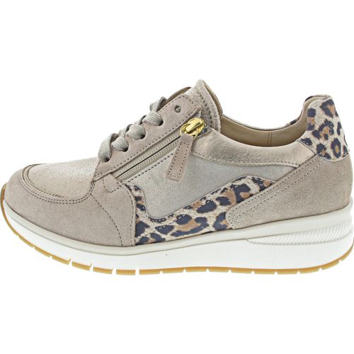Gabor Comfort 66.307.62 (6.5/oasi/muschel (gold))