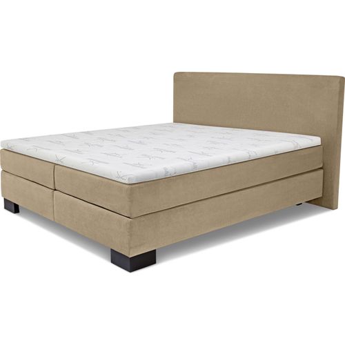 Boxspringbett SANSIBAR Langeoog Box-Spring-Bett Doppelbett