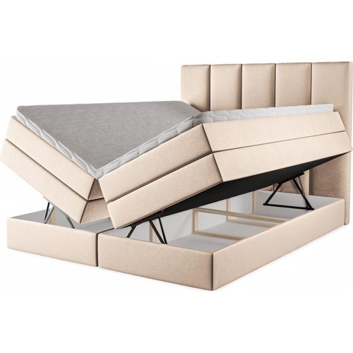 Boxspringbett Agentha 160x220 mit Bettkasten – Samt Creme (Piano 03)