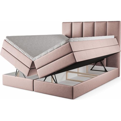 Boxspringbett Agentha 160x220 mit Bettkasten – Samt Rose (Piano 22)