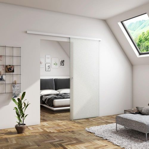 900x2250mm Schiebetür Glastür