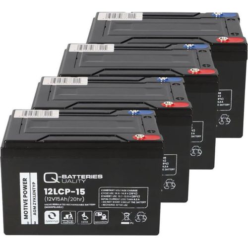 Akku-Satz 48V 15Ah passend für E-Go Tornado 4 1000W