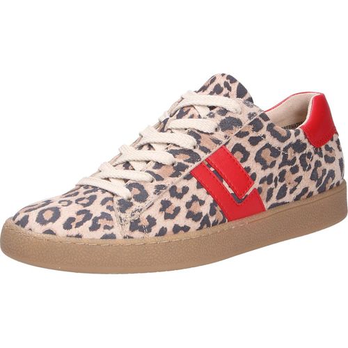 Paul Green Leo Nappa dessert salsa Damen Sneaker low in Beige, Größe 6.5