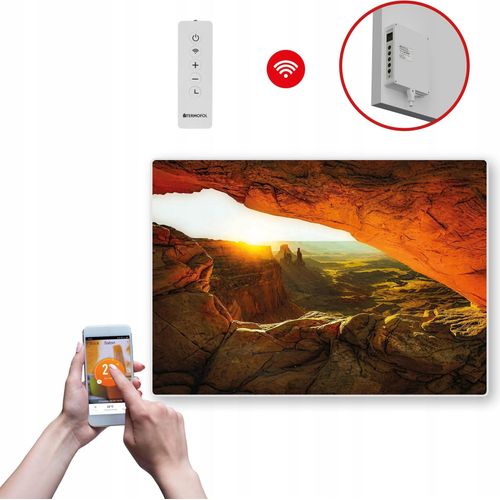 Termofol TF-SWT Infrarot Wandheizung - Wandheizung Elektrisch - Höhle - 500W - 60x85 cm