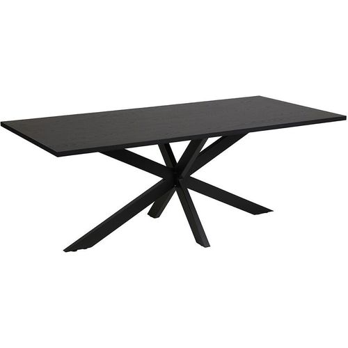 Tisch für 10 Personen für das Esszimmer, Kollektion LOFT, Farbe Schwarz. Metallbeine.