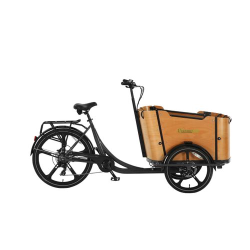 SachsenRAD T2 Neo Vintage E-Lastenrad – Stylisches Lastenfahrrad mit Flexbox, LCD-Display & StVZO-Zulassung – Perfekt für Familie & Alltag