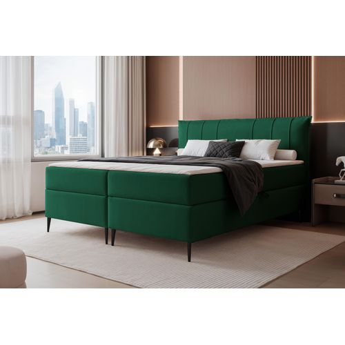 FURMEB24 KONTINENTALBETT SUZI - 140 x 200 cm - GRN