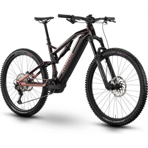 RAYMON Trailray 150 Pro E-Bike Fully mint