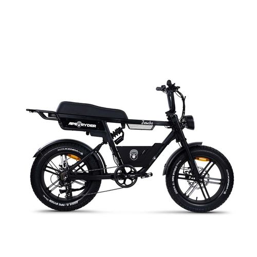 E-Fatbike – E-Bike mit fetten Reifen, Leistungsstark, hohe Reichweite – Jambo