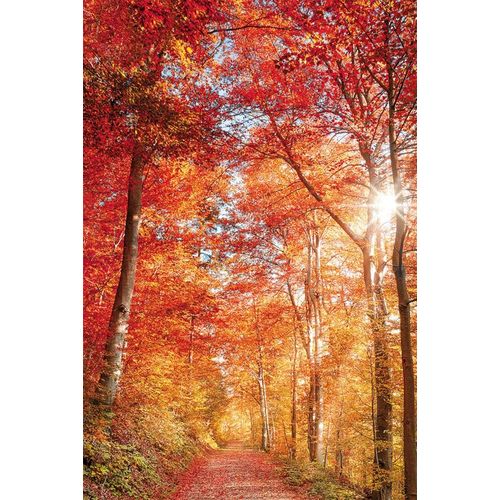 Leinwandbild BÖNNINGHOFF, rot (farbe bild(er): rot, orang), B:90cm H:60cm T:1,8cm, Canvas, MDF, Bilder