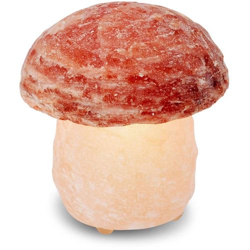 HIMALAYA SALT DREAMS Salzkristall-Tischlampe 