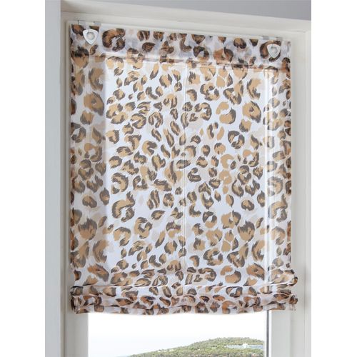 Raffrollo HEINE HOME Gr. 1, braun (weiß, braun), B:45cm H:130cm, Raffrollos