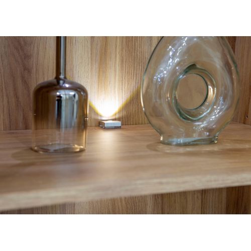 LED-Leuchtmittel FORTE 