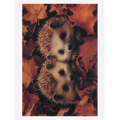 Fußmatte Gr. 1, bunt (igel), B:40cm H:1mm L:60cm, Polyamid, Kunstfaser, Teppiche
