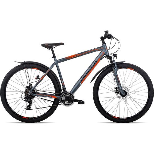 Ciclista Adventure 29 Disc All-Terrain-Bike ab 14 Jahren 29 Zoll Dunkelgrau 53 cm