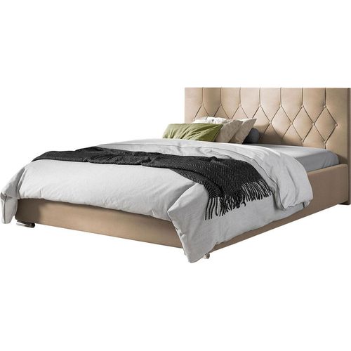 MIRJAN24 Polsterbett Loloz Tap, Doppelbett mit Bettkasten und Kopfteil, Ehebett (Farbe: Mikrofaza 0005, Größe: 200x200 cm)