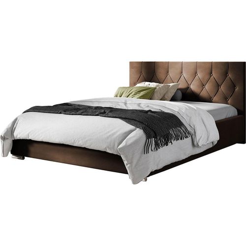 MIRJAN24 Polsterbett Loloz Tap, Doppelbett mit Bettkasten und Kopfteil, Ehebett (Farbe: Mikrofaza 0020, Größe: 120x200 cm)