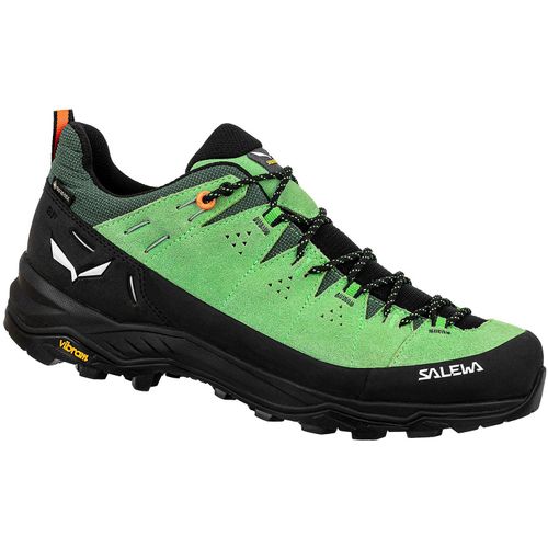 Wanderschuhe Alp Trainer 2 Gore-Tex (Herren) – Salewa, Farbe:5660 Pale Frog, Größe:UK 6.5 (EUR 40)