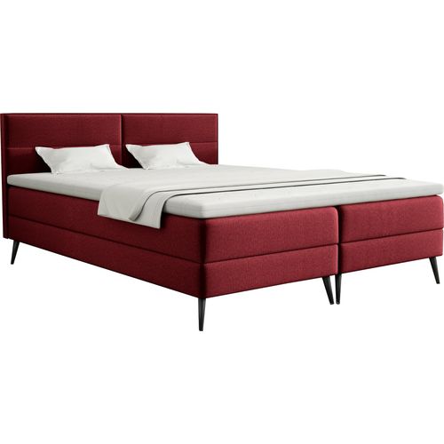 FEDVE Boxspringbett Doppelbett Sporen Schlafzimmer Bett Bonell-Matratze Topper 160x200 cm Rot (Fancy 59)