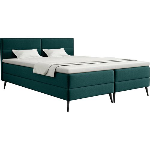 FEDVE Boxspringbett Doppelbett Sporen Schlafzimmer Bett Bonell-Matratze Topper 160x200 cm Grün (Monolith 37)