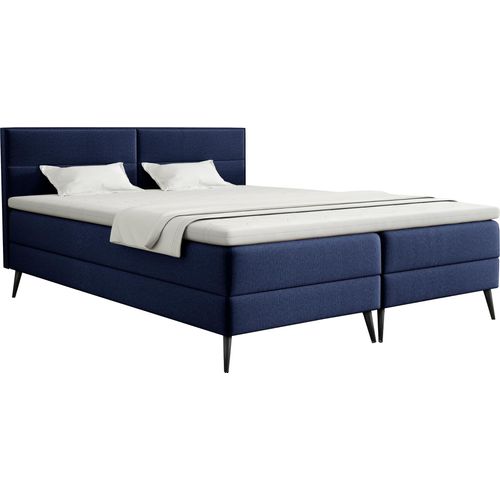 FEDVE Boxspringbett Doppelbett Sporen Schlafzimmer Bett Bonell-Matratze Topper 200x200 cm Marineblau (Fancy 79)
